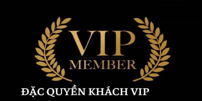 Hội viên VIP được thiết kế chương trình riêng